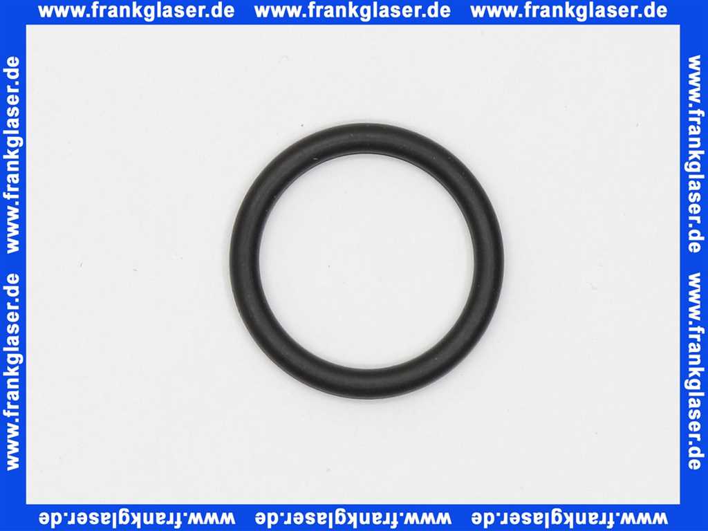 071099535 O-Ring Centra f&uuml;r Mischer