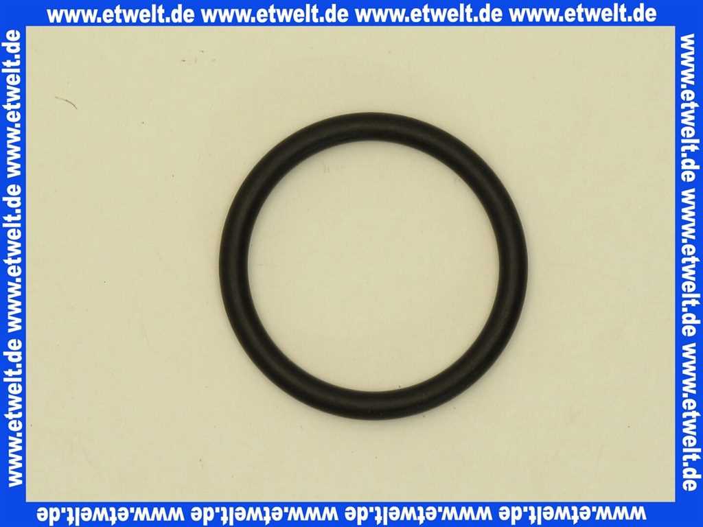Hansa Heiztechnik 98155 Hans Grohe O-Ring 34 x 4 zu Axor Starck