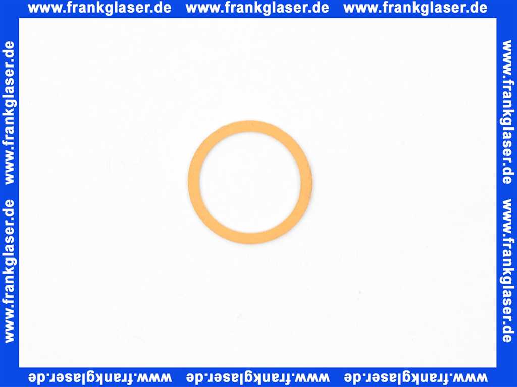 7814975 Viessmann Dichtung R 1 1/4 Zoll Trinkwasserfilter