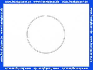 WI9155056000001 Arwa Sicherungsring DM39xDM1.2