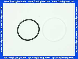 116848 Blanco Set Kunststoffringe O-Ring Dichtung und Schleifring