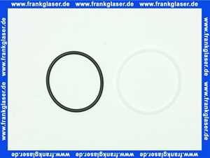 116848 Blanco Set Kunststoffringe O-Ring Dichtung und Schleifring