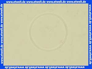 127024 Blanco Teflonring Gleitring