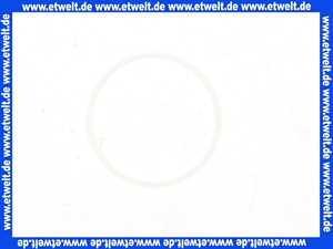 127386 Blanco Teflonring ORION, PALLAS MZ