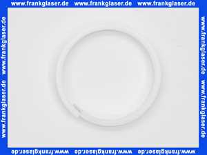 139540 Blanco Teflonring