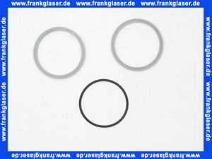 139892 Blanco Oring Dichtungssatz