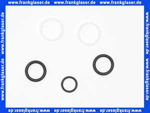 139945 Blanco Kunststoff O-Ring Set Auslauf NF zu Blanco Linus 514019