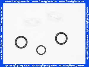 139945 Blanco Kunststoff O-Ring Set Auslauf NF zu Blanco Linus 514019