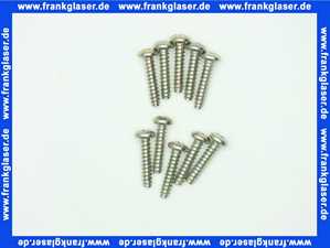 Bosch 29106124270 Schraube (10x)