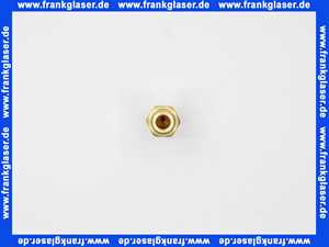 Bosch Hauptgasdüse E 1,60 Bohrung Sw16 5484560