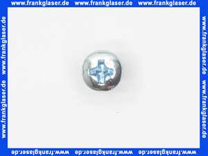 Bosch Linsenschraube DIN7985-M6x10-4.8 5883188