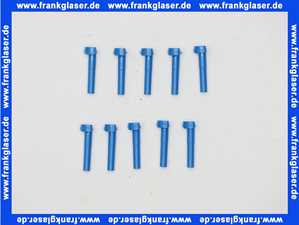 Bosch Scharnierstift blau (10x) 63029060