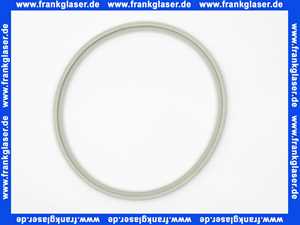 Bosch Lippendichtung DN200 Centrotherm 63037868