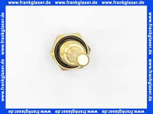 Bosch Vor-/Rücklauffühler G1/4 45lg 63041677