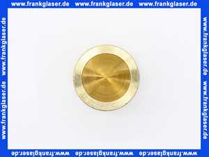 Bosch Blindstopfen D21 63045248 (Nachfolgeartikel)