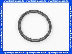 Bosch Lippendichtung DN80 GB122 7099704