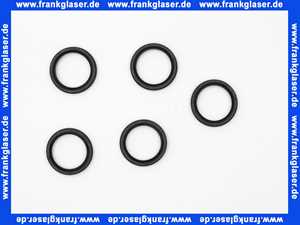 Bosch Dichtring Kondensatrohr (5x) 7100742