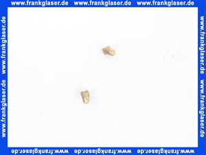 Bosch Ersatz Kohlebürsten-Set (2x). 7736600974