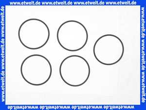 Bosch O-Ring Askoll (5x) 7736700104