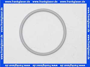 Bosch O-Ring 160x10 7747007986