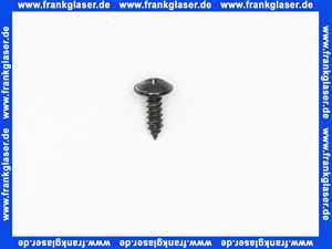 Bosch Blechschraube St 4,2x13 (1 Stück) 7747027696