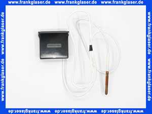 Bosch Temperaturanzeige WPT 300 4519034147 7747104131