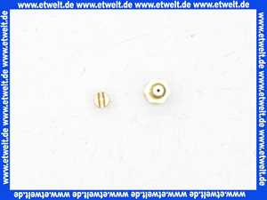 Bosch 87033051910 Druckmeßnippel