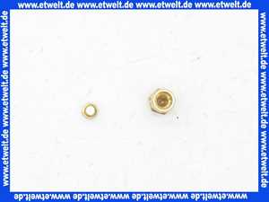 Bosch 87033051910 Druckmeßnippel