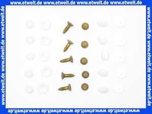 Bosch 87034020020 Schraube (10x)