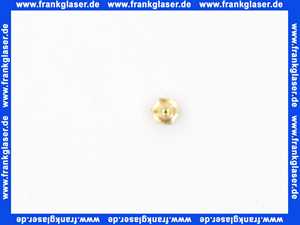 Bosch 87082021660 Düse (65) (1 Stück)