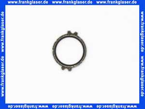 Bosch Dichtung 18,5x24,3 (1 Stück) 87167712590