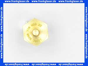 Bosch Temperaturbegrenzer 87229638580