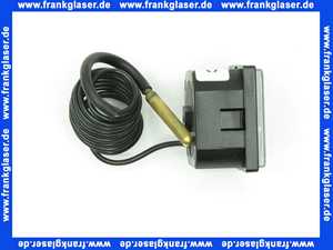 Bosch 87229661800 Thermometer