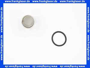 Bosch Wassersieb DN25 8733702122