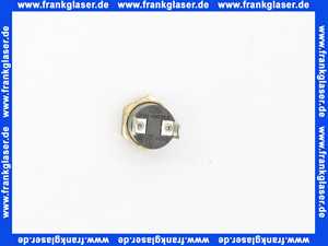 Bosch Temperaturbegrenzer 87379033990