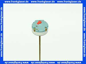 Bosch 87387204080 Thermostat