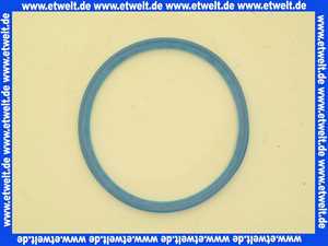 959841 Brötje Lippendichtung DN 100