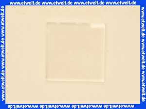 5447620 Buderus Glasscheibe 30x30x3,3