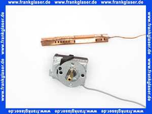 63005872 Buderus Temp-Regler 0-90/3000LG 8806,1