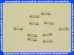 67900738 Buderus Sicherungseinsatz IEC127-2/5T(10x)
