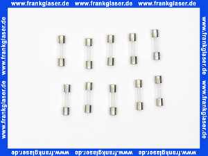 7098442 Buderus Sicherung 2,5 Ampere,a 10Stück