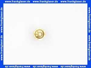 7098819 Buderus Entlüftungsventil für Wärmetauscher