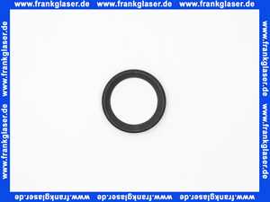 7100742 Buderus Dichtring Kondensatrohr (1 Stück)