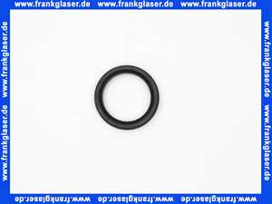 7100742 Buderus Dichtring Kondensatrohr (1 Stück)