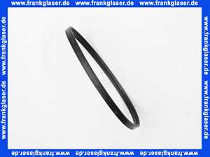 Buderus Lippendichtung DN125 7736700058