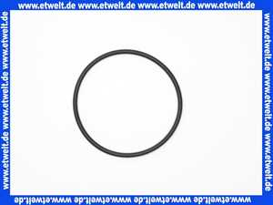 7736700104 Buderus O-Ring Askoll (1 Stück)