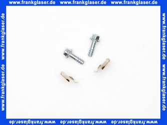 7736700729 Buderus Scharnier, Set