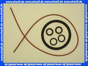 7746700130 Buderus Wärmetauscher C2 V4