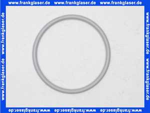 7747007986 Buderus O-Ring 160x10