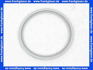 7747021733 Buderus Lippendichtung DN80 PerOxyd 1 Stück